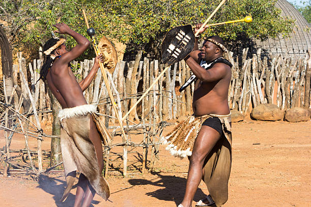 Eshowe, South Africa - May 24, 2014: Zulu men dressed in traditional or tribal dress performing a display of Zulu stickfighting with knobkerries at a Zulu kraal near Eshowe in Zululand.